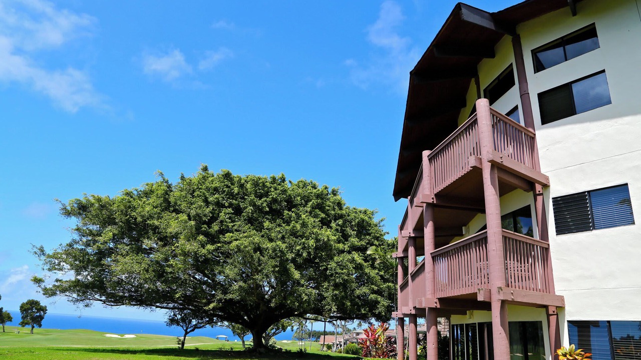 Photo of Outdoor in Princeville