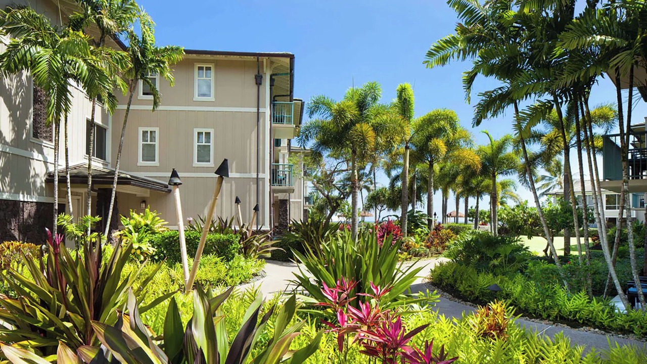 Photo of Outdoor in Kaiulani