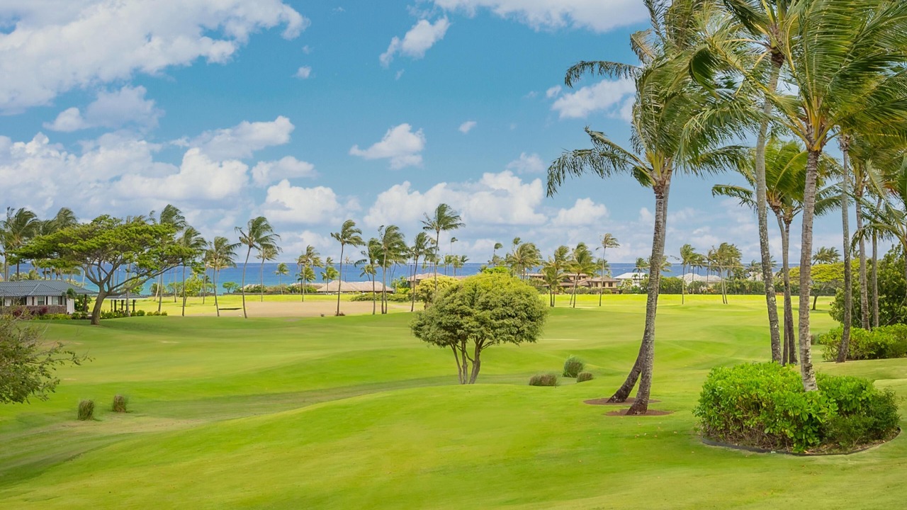 Photo of Others in Poipu