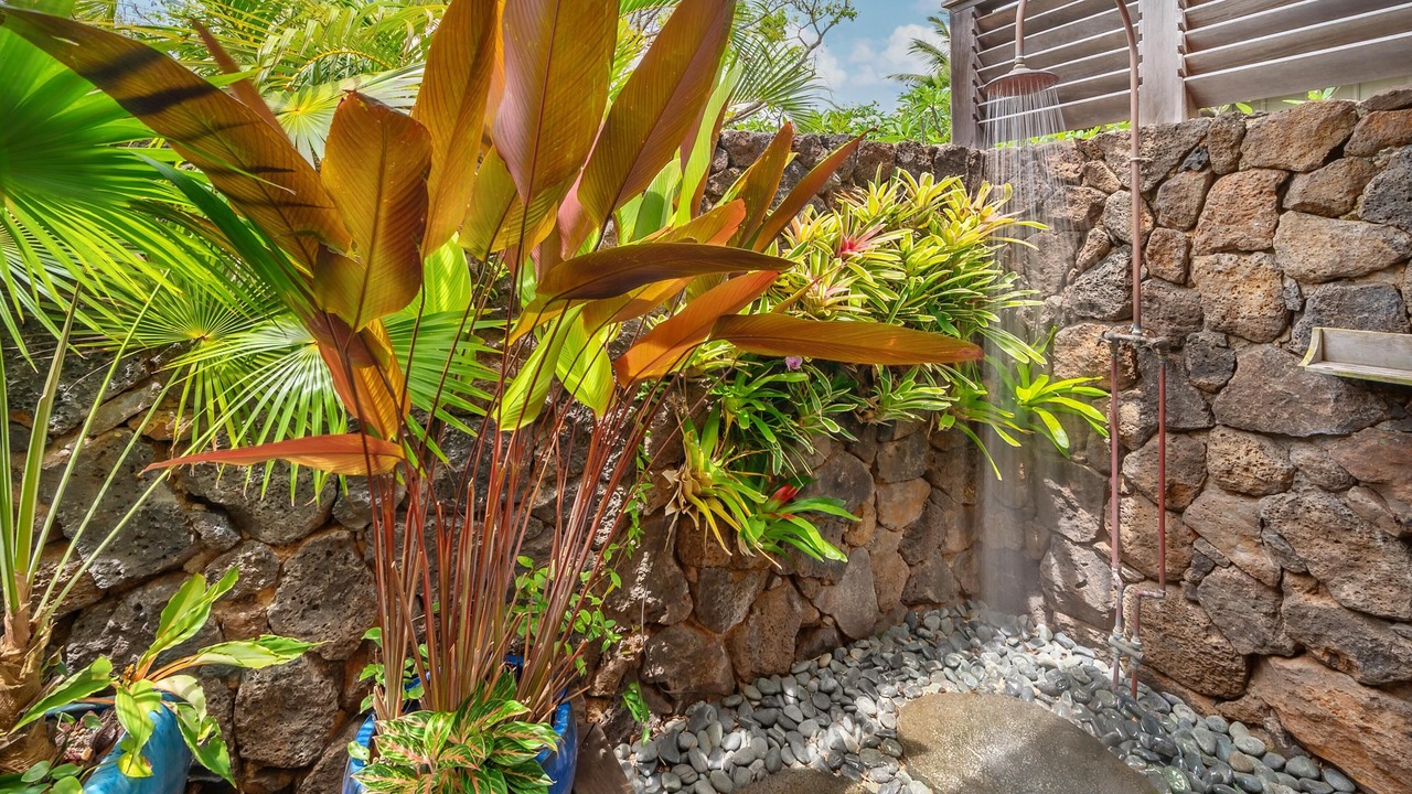 Photo of Outdoor in Poipu