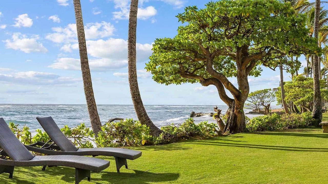 Photo of Outdoor in Kapaa