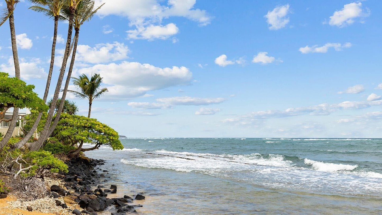 Photo of Others in Kapaa