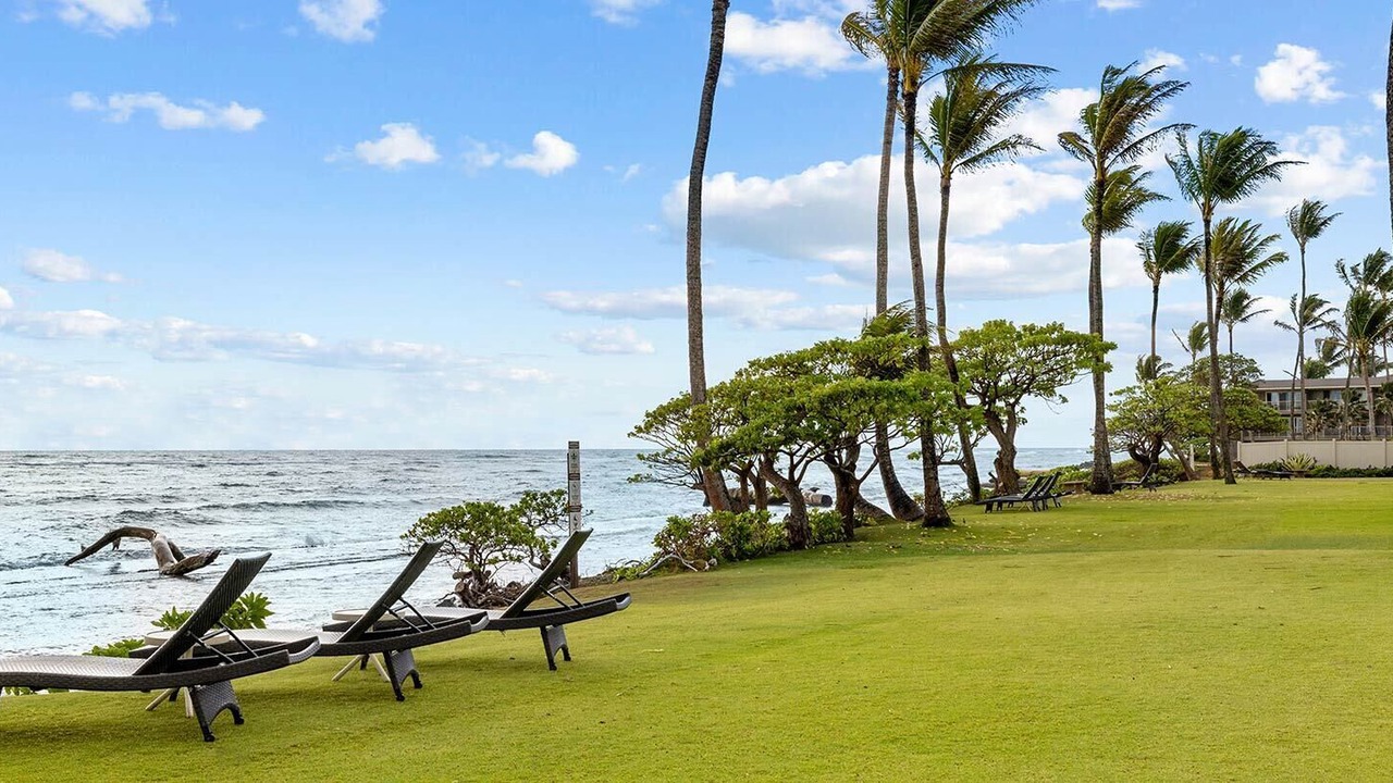 Photo of Outdoor in Kapaa