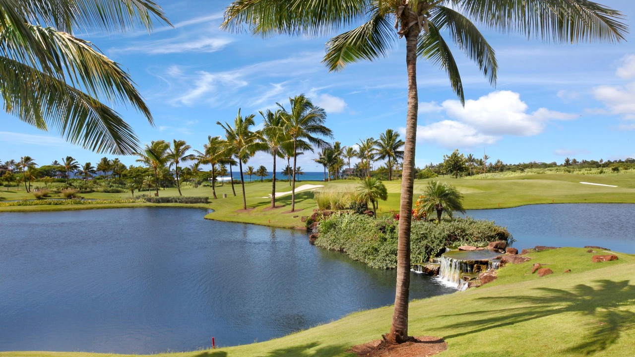 Photo of Others in Poipu