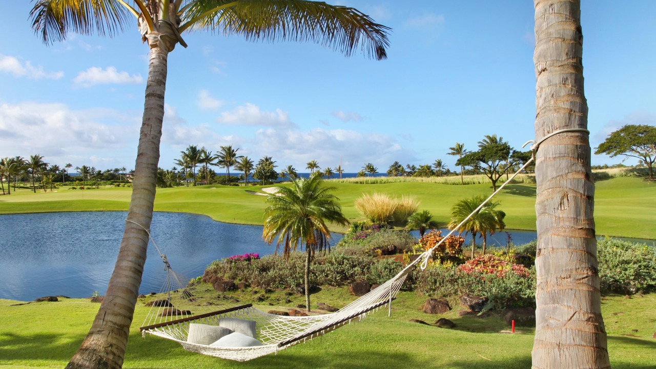 Photo of Others in Poipu