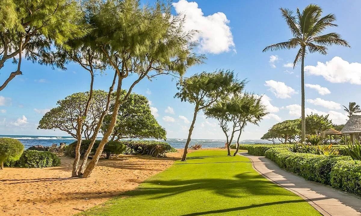 Photo of Outdoor in Kapaa