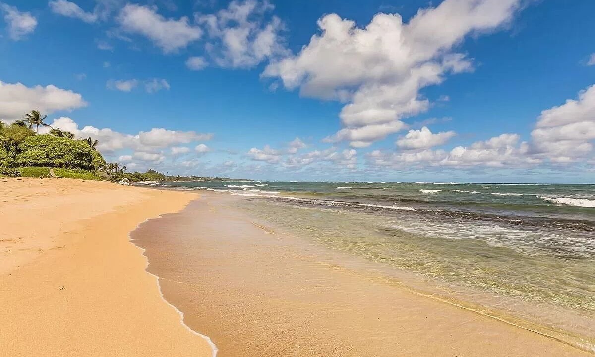 Photo of Others in Kapaa