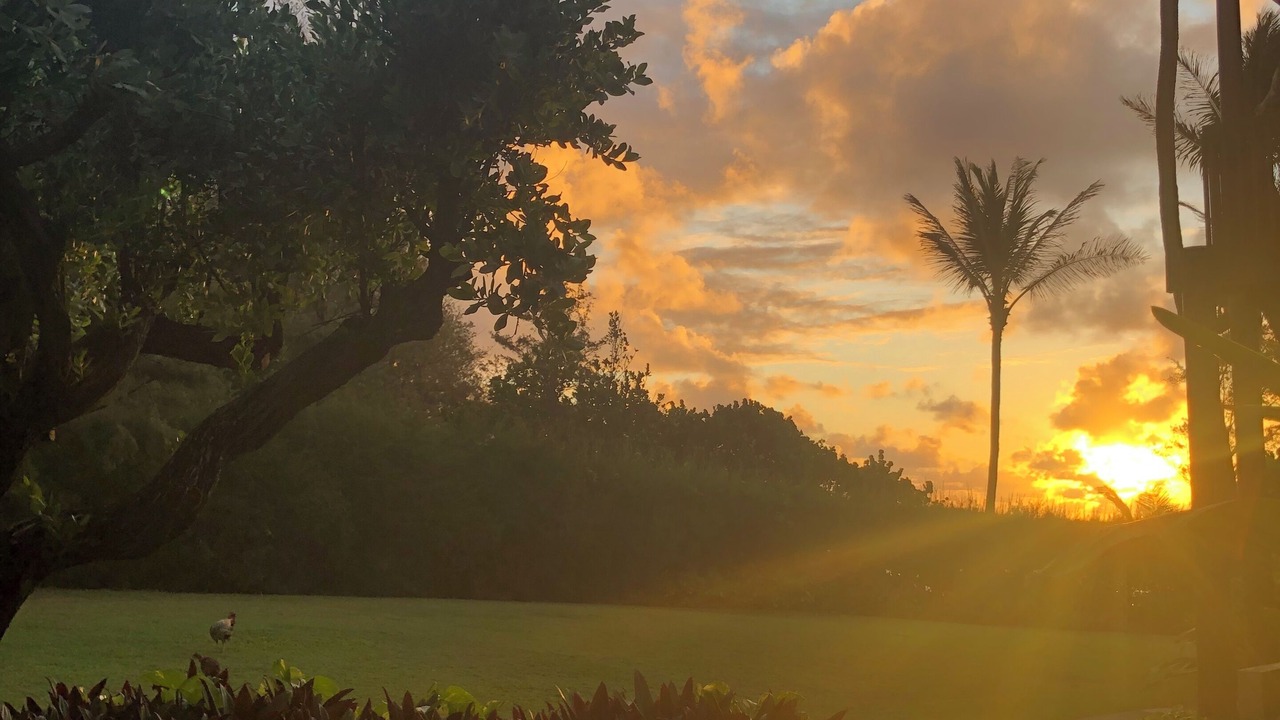 Photo of Others in Lihue
