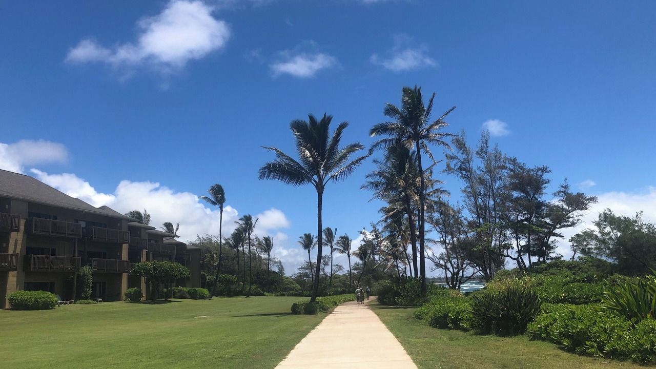 Photo of Others in Lihue