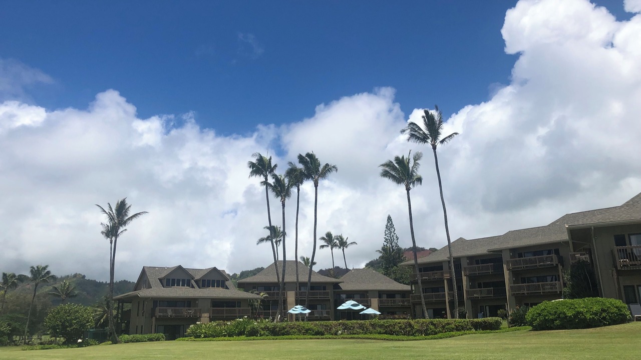 Photo of Outdoor in Lihue