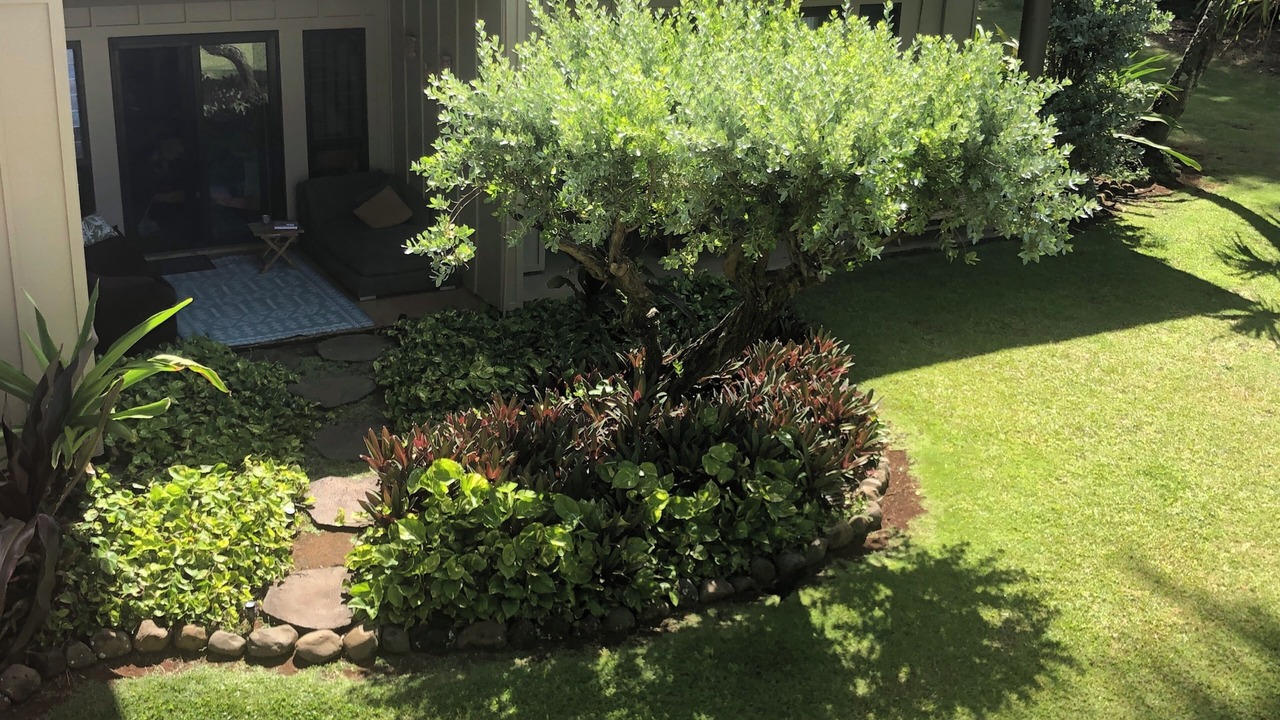 Photo of Outdoor in Lihue
