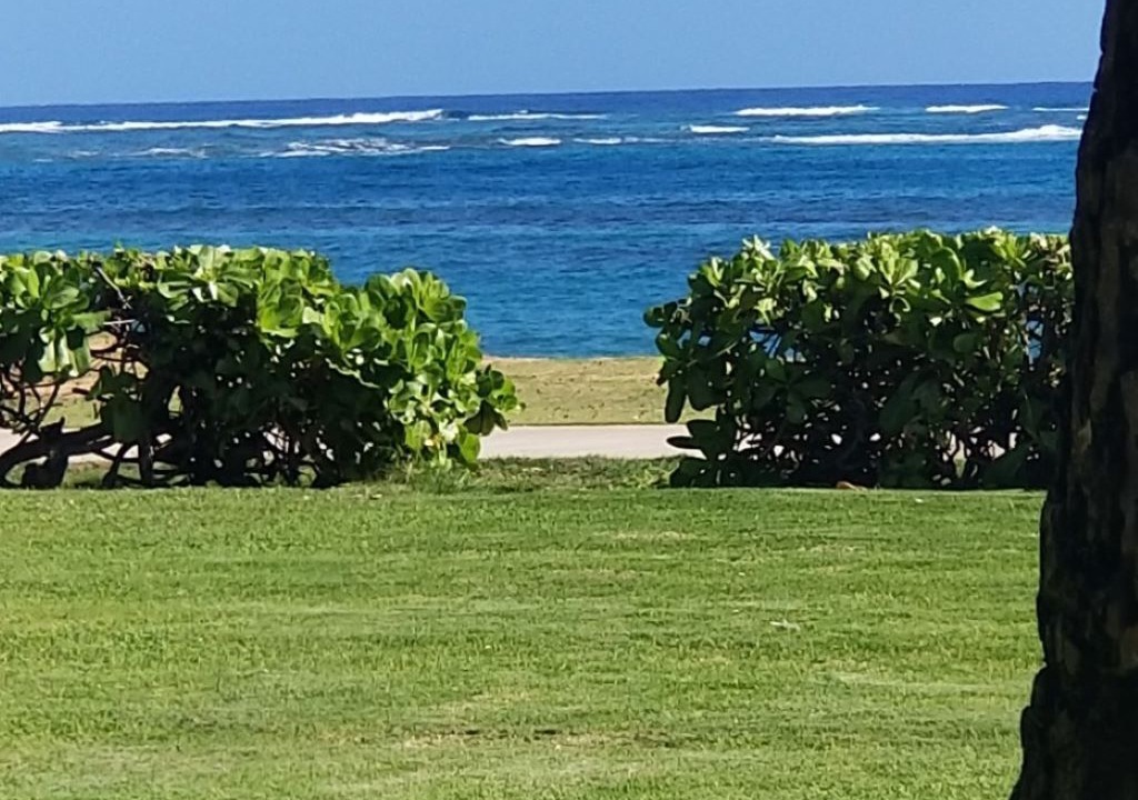 Photo of Others in Kapaa