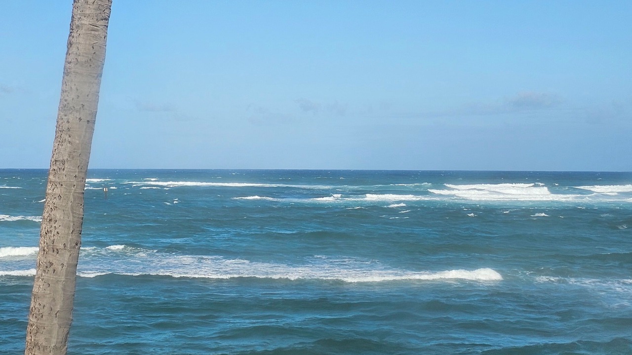 Photo of Others in Kapaa