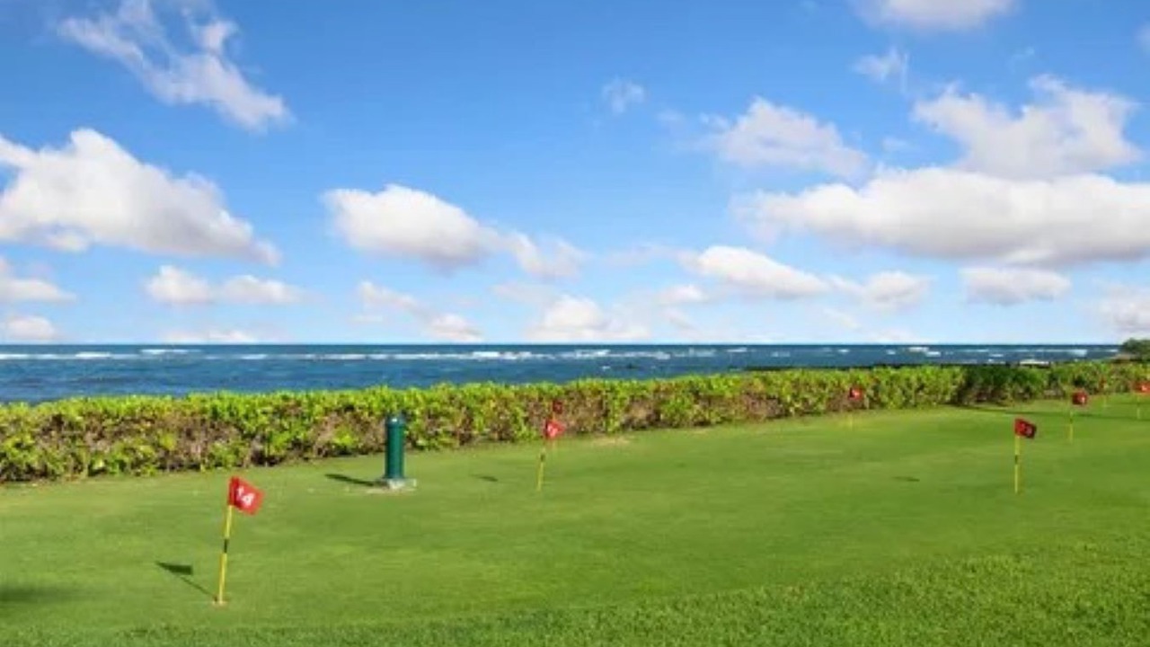 Photo of Others in Kapaa