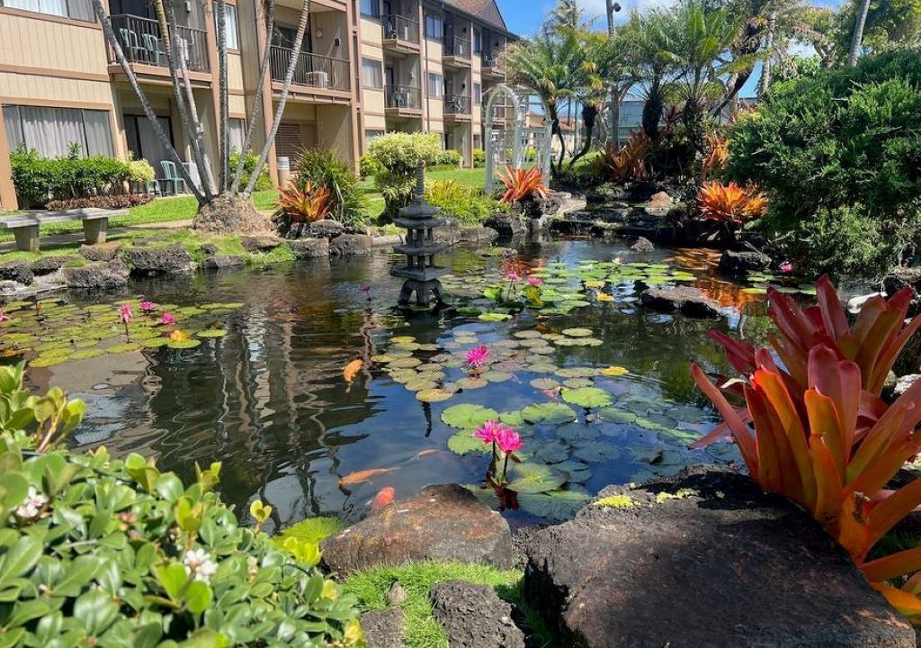 Photo of Others in Kapaa
