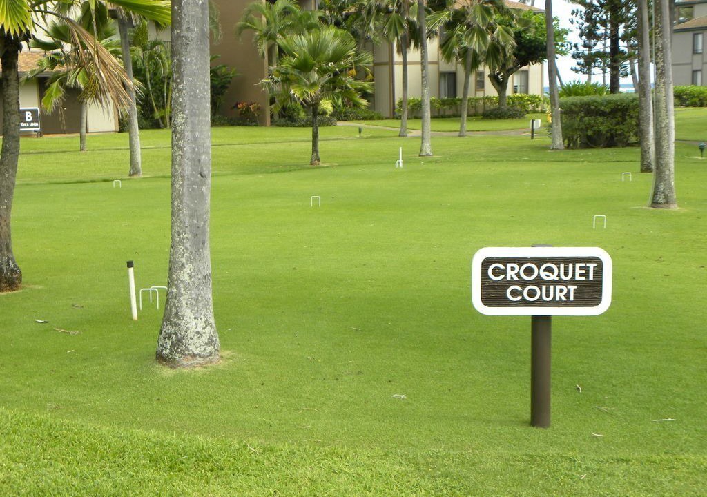 Photo of Others in Kapaa