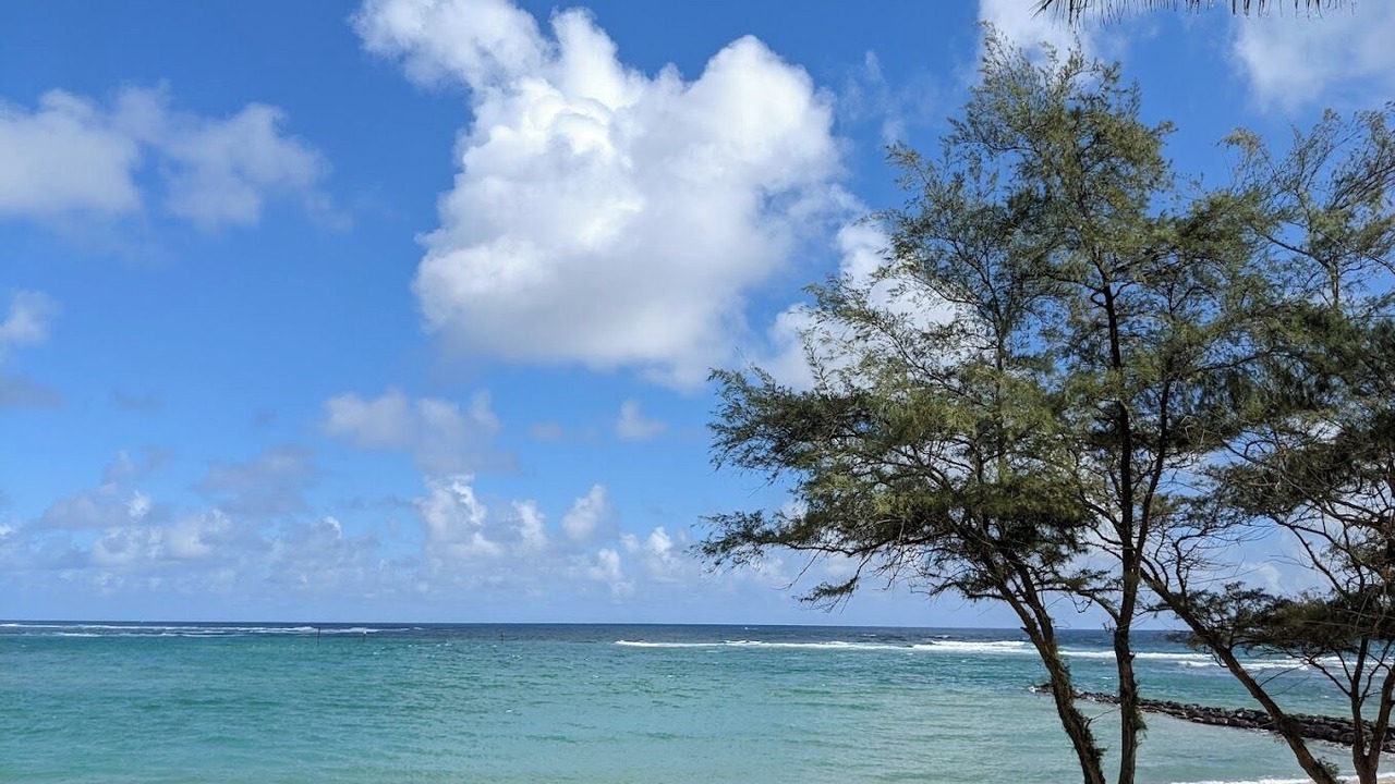 Photo of Others in Kapaa