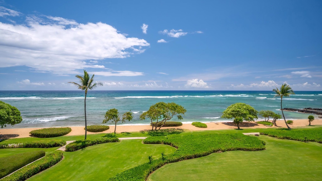 Photo of Others in Wailua