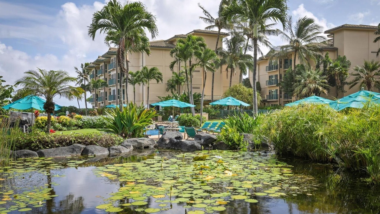 Photo of Others in Wailua