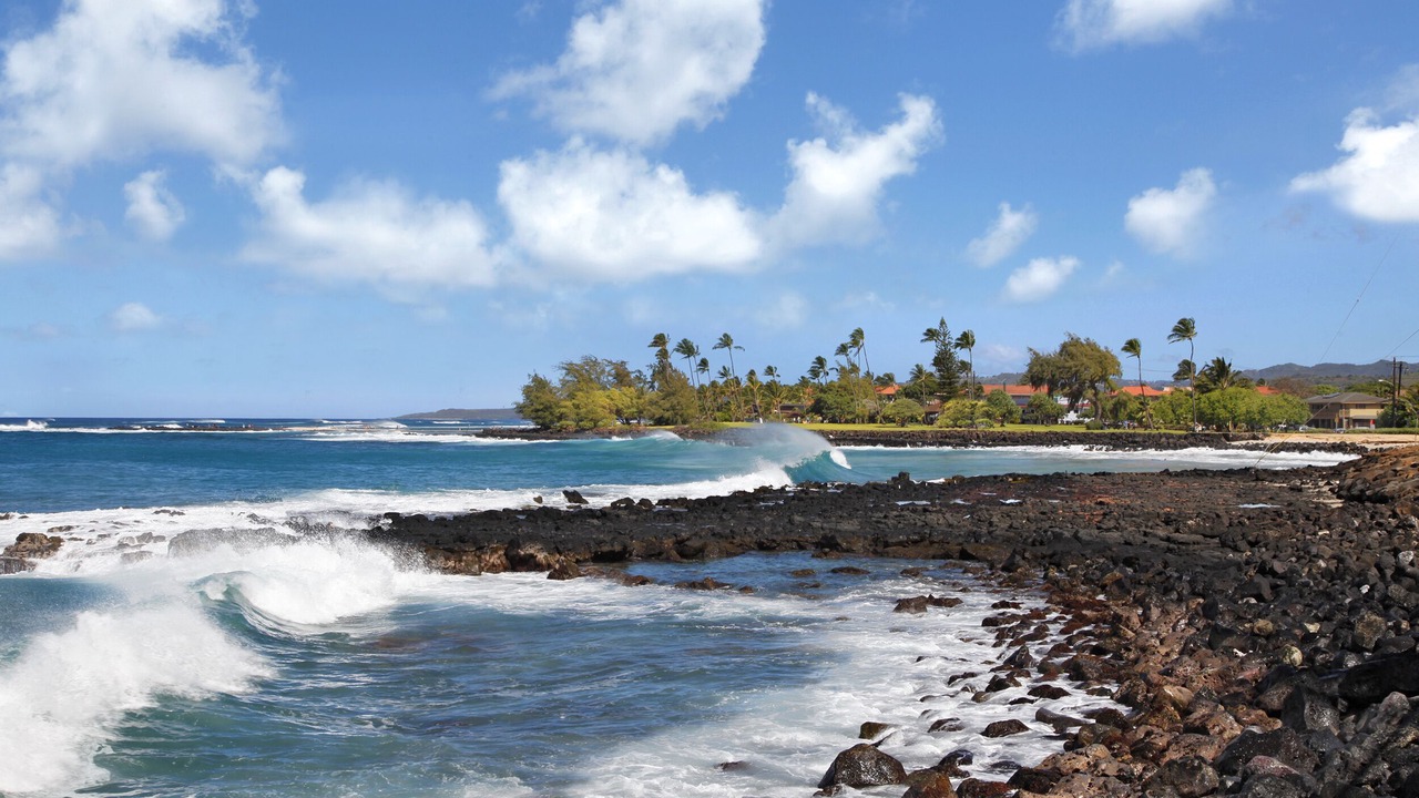 Photo of Others in Poipu