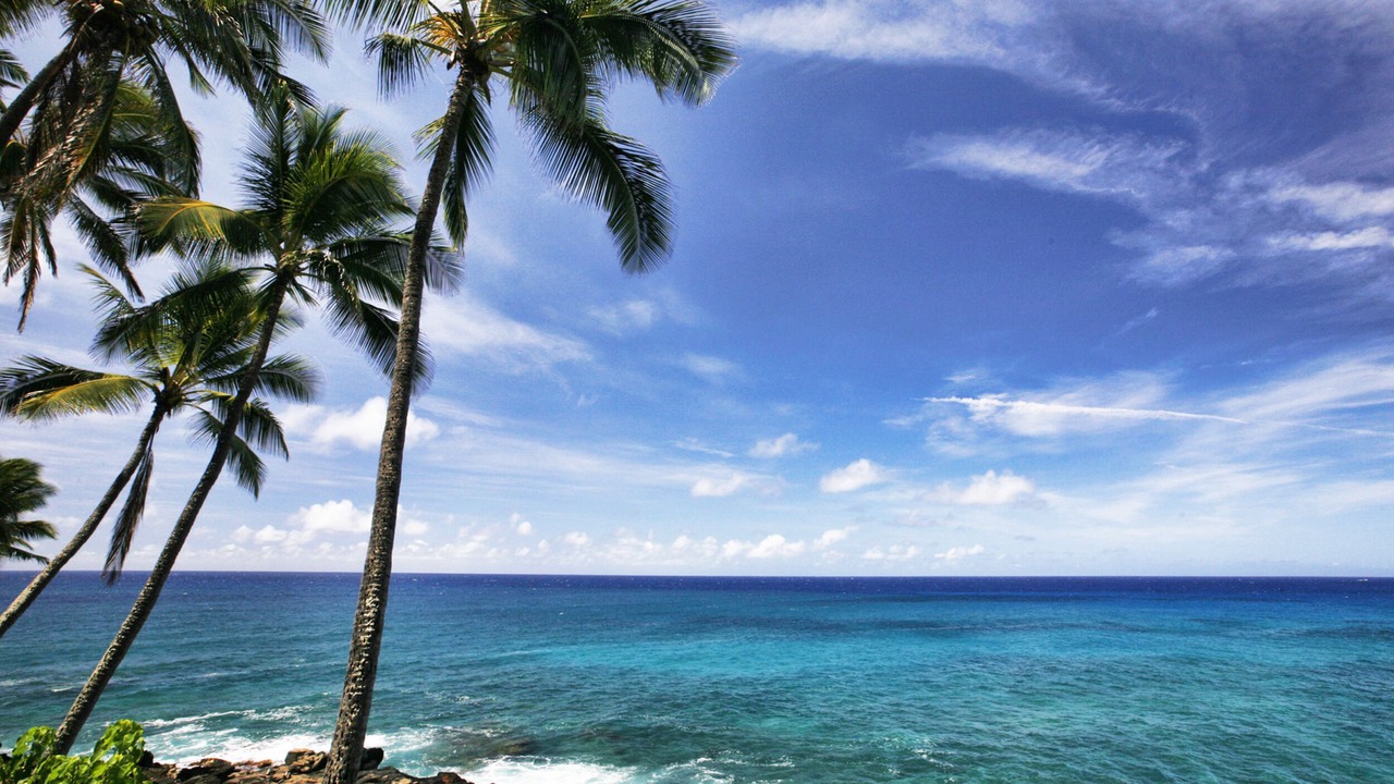 Photo of Others in Poipu