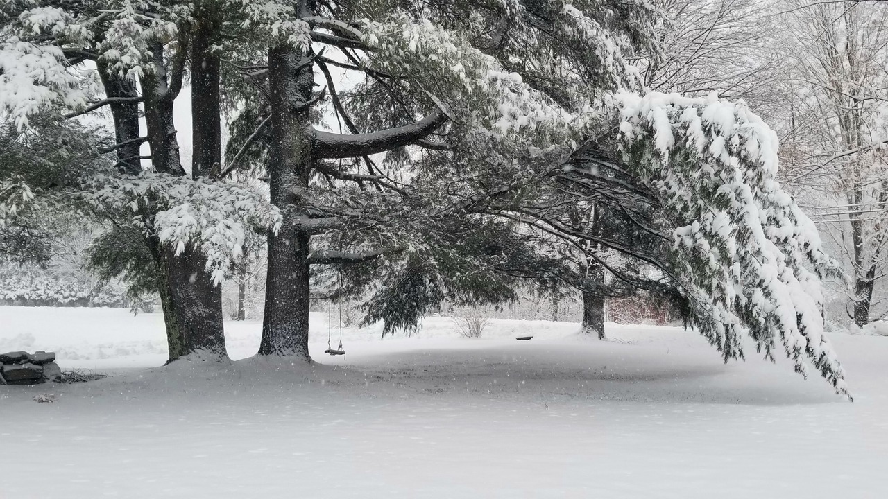 Photo of Outdoor in Brainard