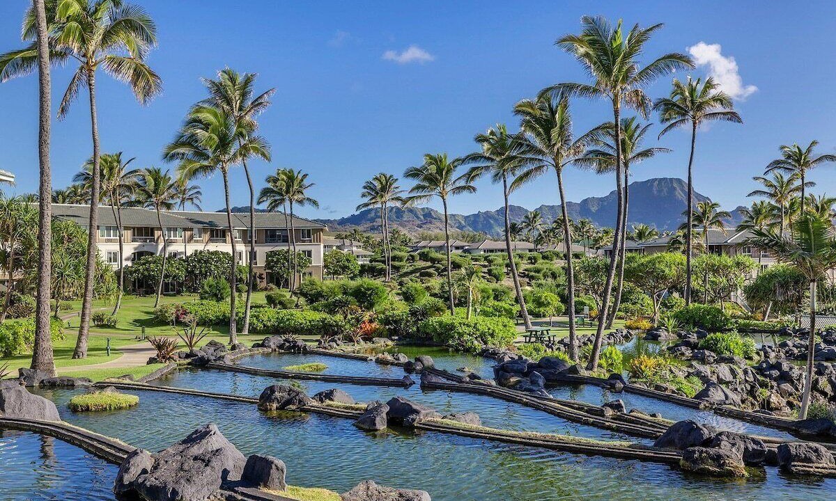 Photo of Others in Poipu