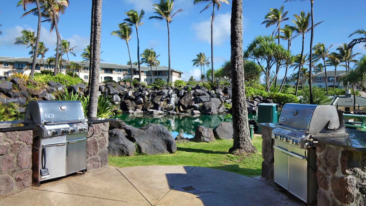 Photo of Others in Poipu
