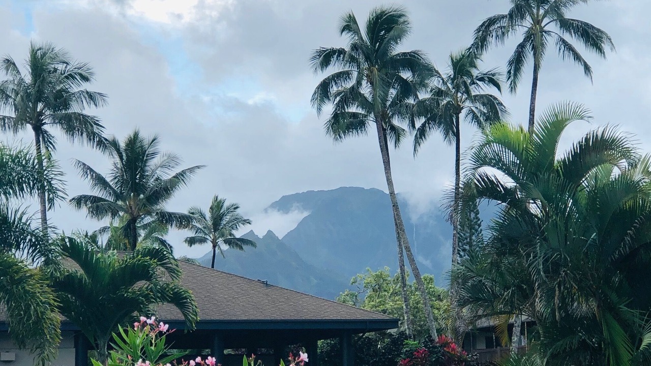 Photo of Others in Kaiulani