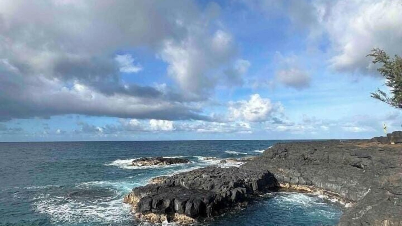 Photo of Others in Princeville