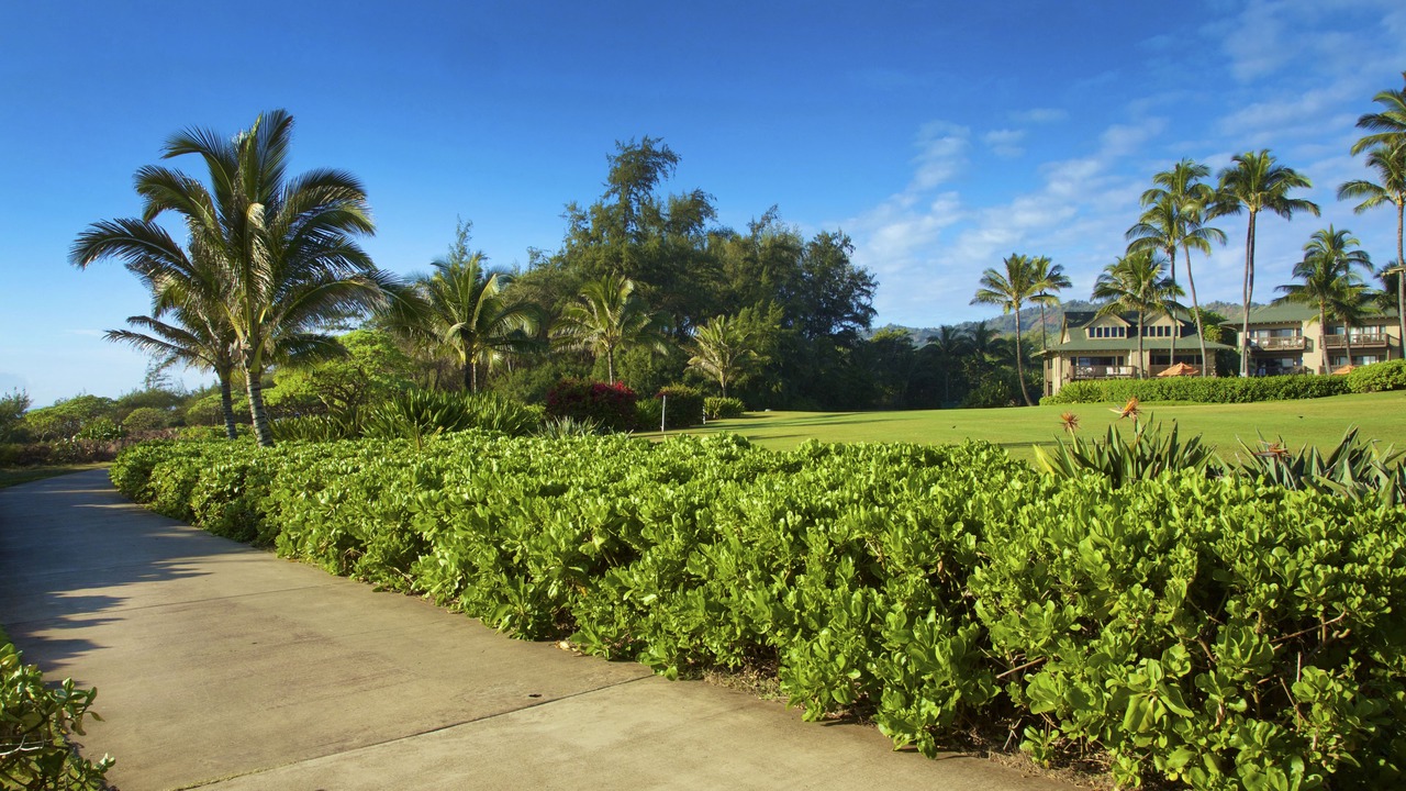 Photo of Outdoor in Lihue