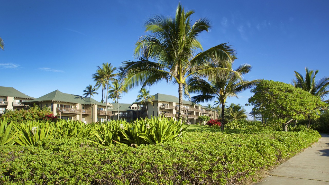Photo of Outdoor in Lihue