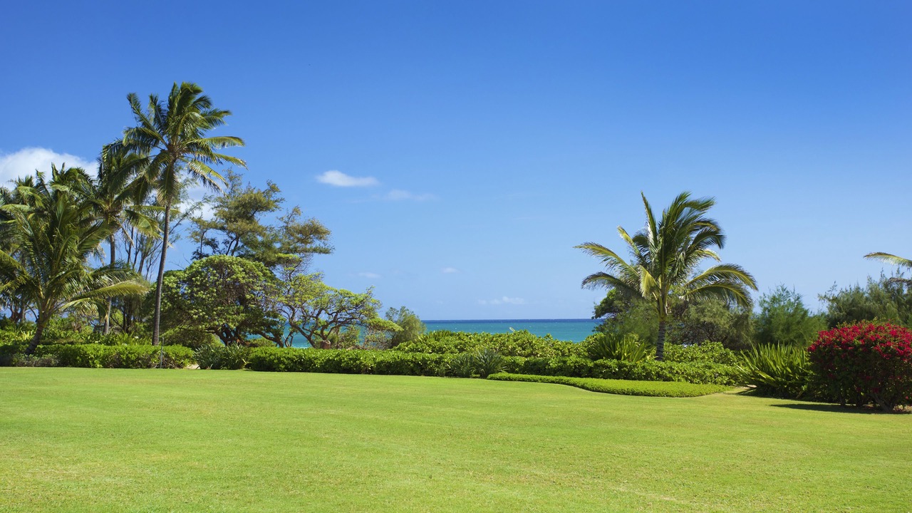Photo of Outdoor in Lihue