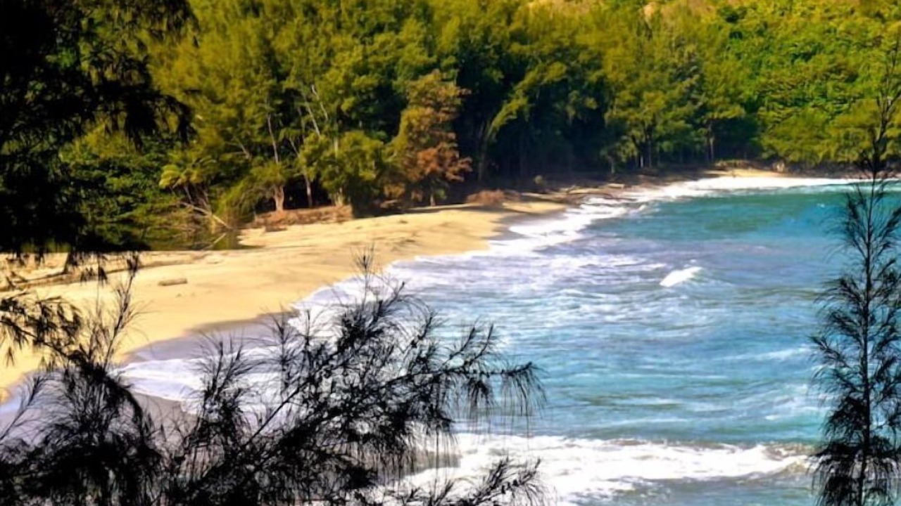 Photo of Others in Wainiha