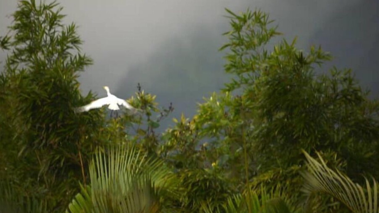 Photo of Outdoor in Wainiha