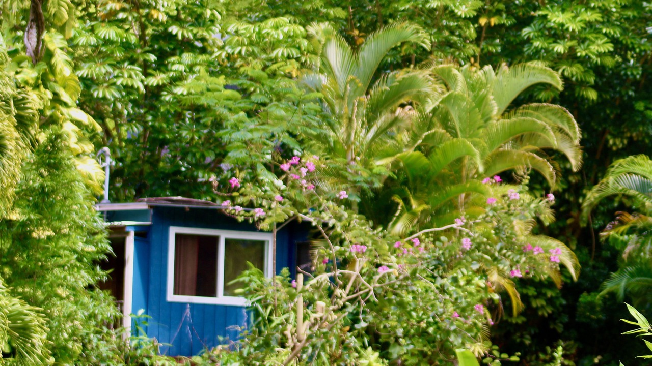 Photo of Outdoor in Wainiha