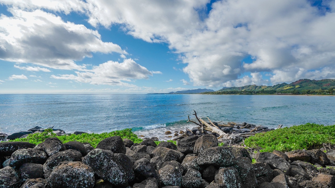 Photo of Others in Kapaa