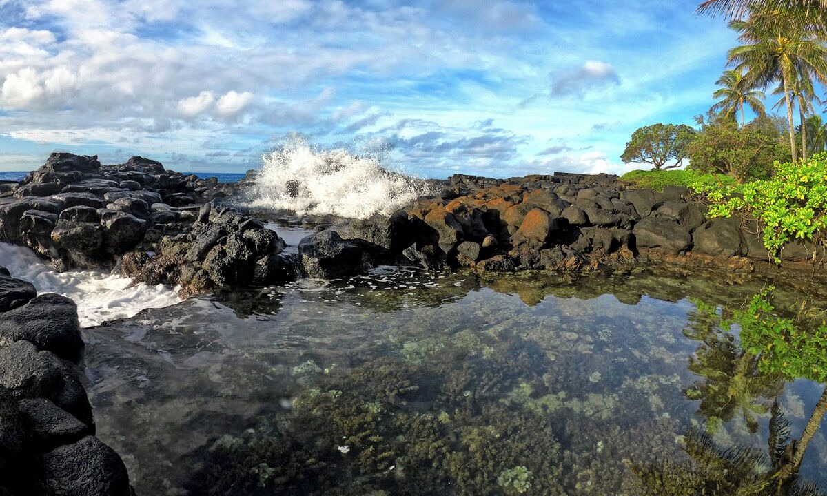 Photo of Others in Poipu
