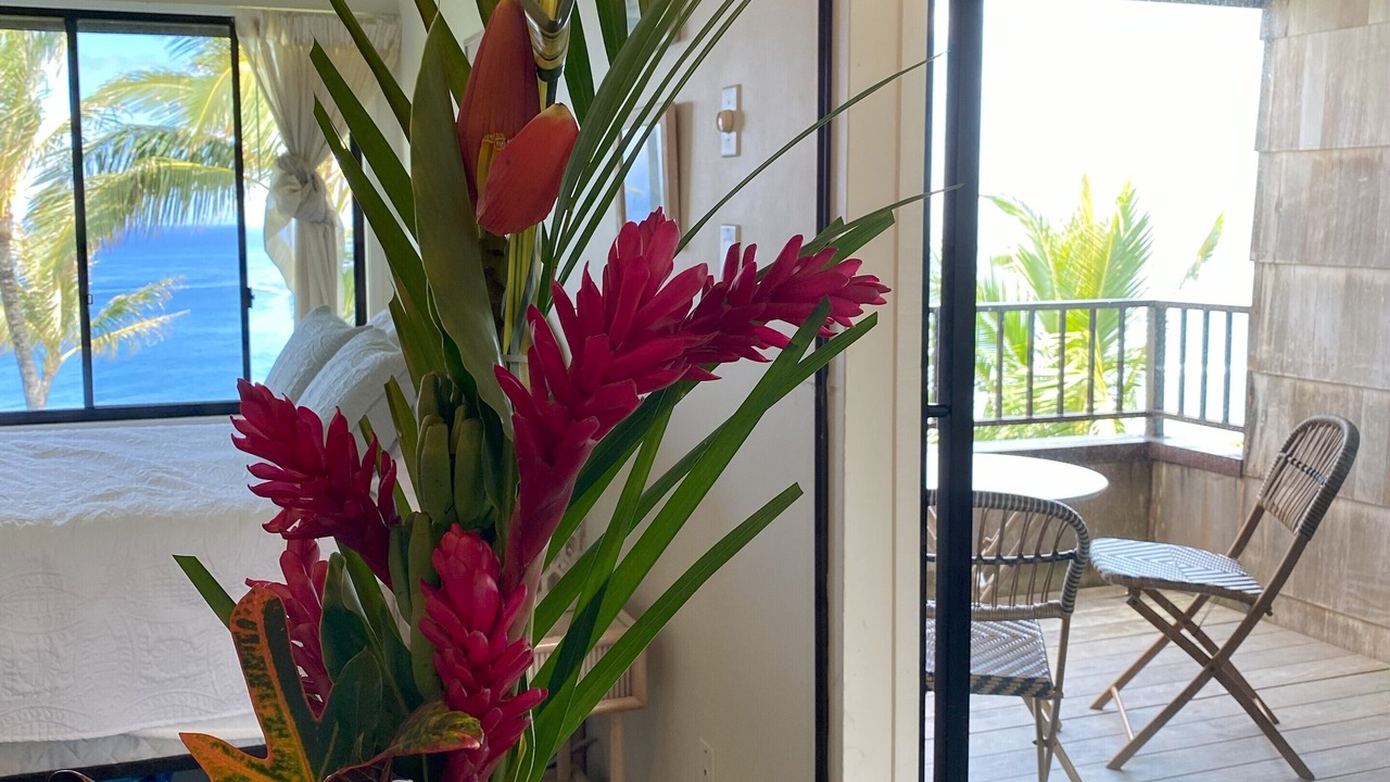 Photo of Outdoor in Princeville