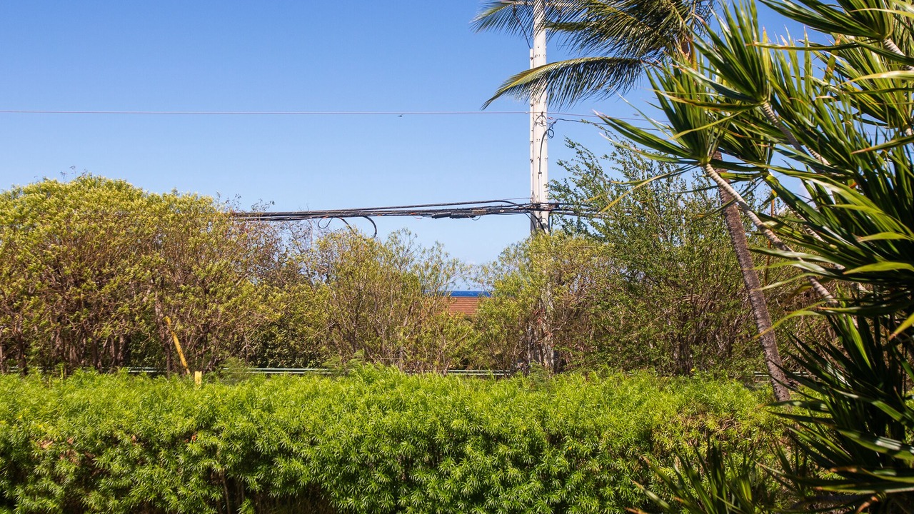 Photo of Outdoor in Kaanapali