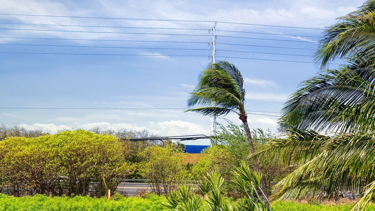 Photo of Outdoor in Kaanapali