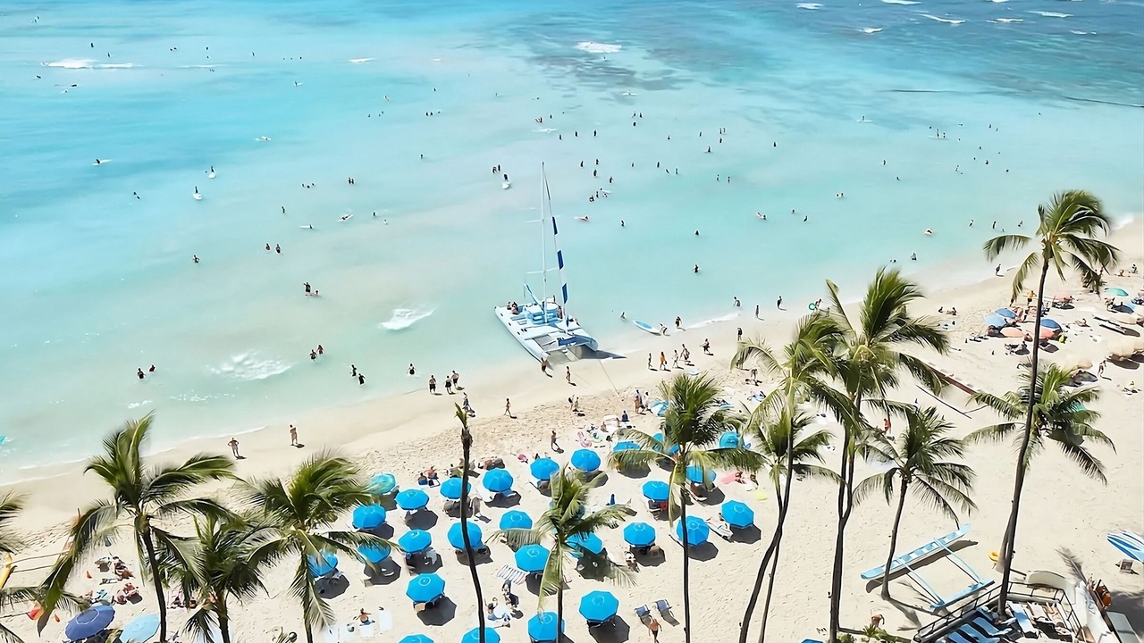 Photo of Others in Waikiki