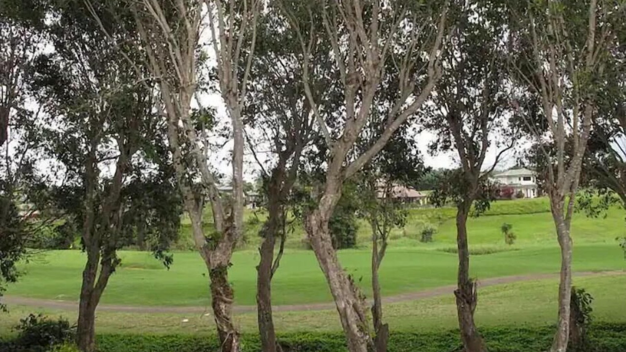 Photo of Others in Queen Emmas Bluffs