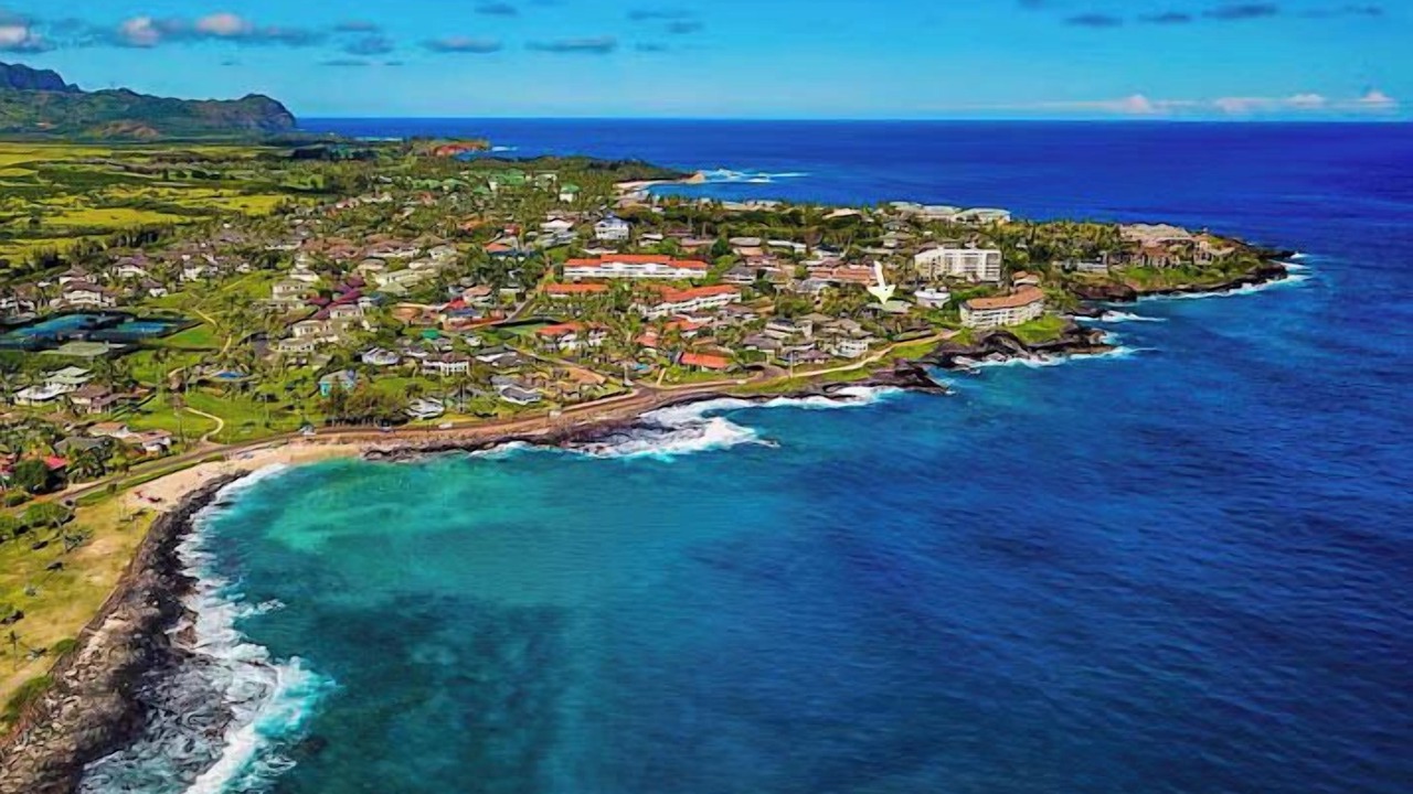 Photo of Others in Poipu