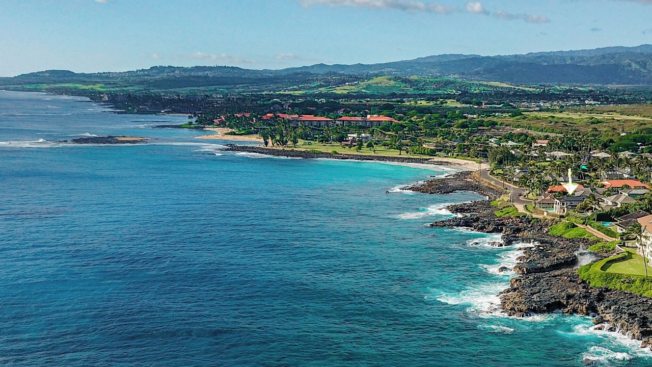 Photo of Others in Poipu