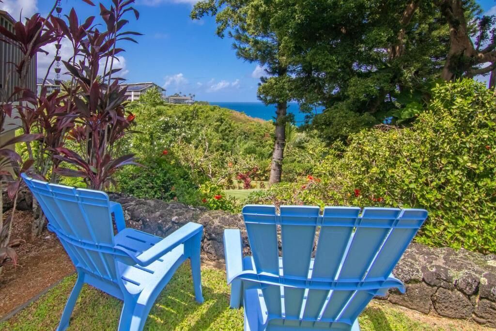 Photo of Outdoor in Princeville