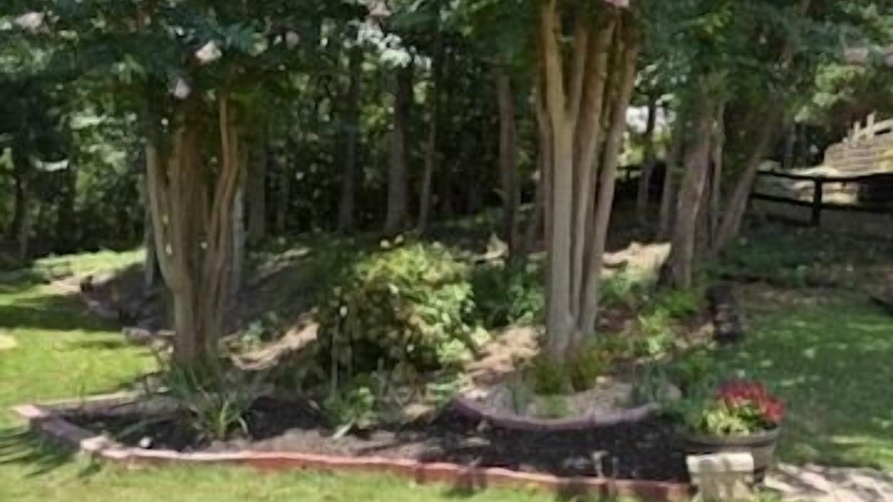 Photo of Outdoor in Braselton