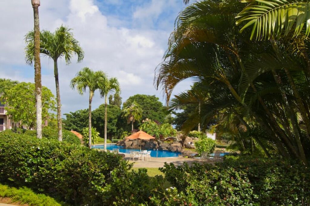 Photo of Outdoor in Queen Emmas Bluffs
