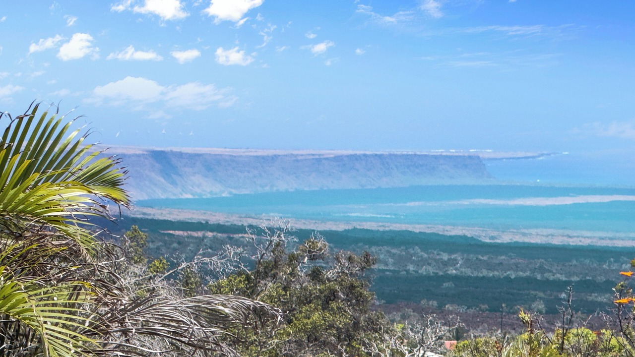 Photo of Others in Ocean View