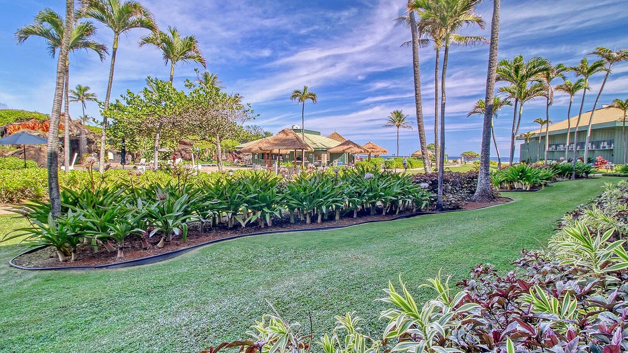 Photo of Outdoor in Hanamaulu
